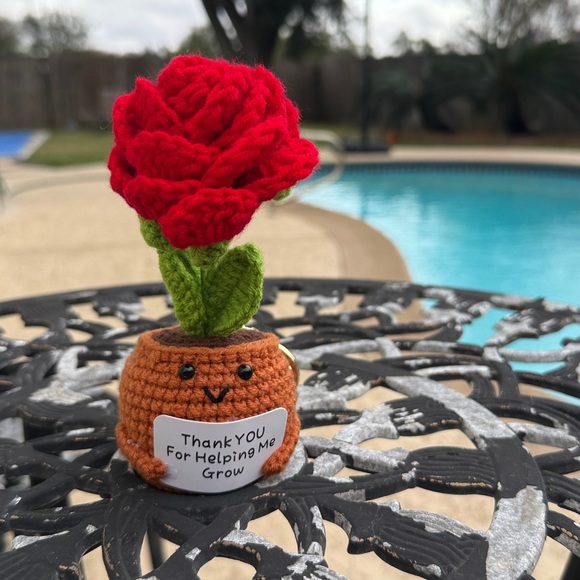 Charming Red Crochet Rose in Smiling Pot - Picture 2 of 3
